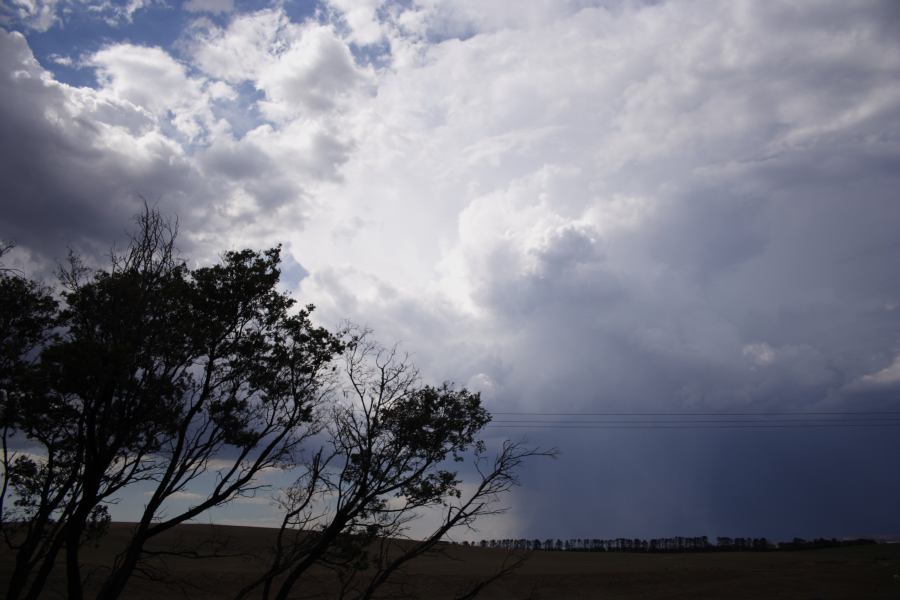 thunderstorm cumulonimbus_incus : E of Bathurst, NSW   3 February 2007