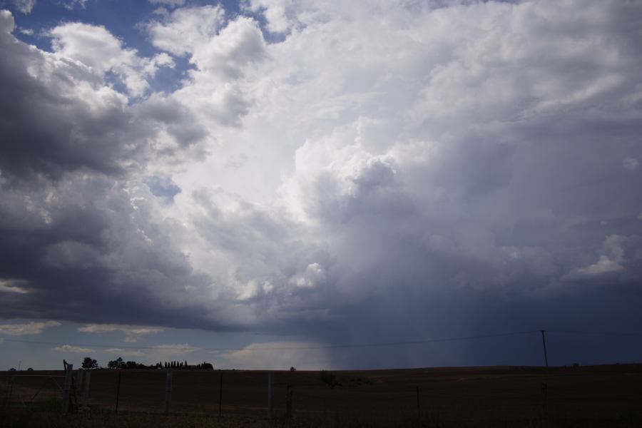 thunderstorm cumulonimbus_incus : E of Bathurst, NSW   3 February 2007