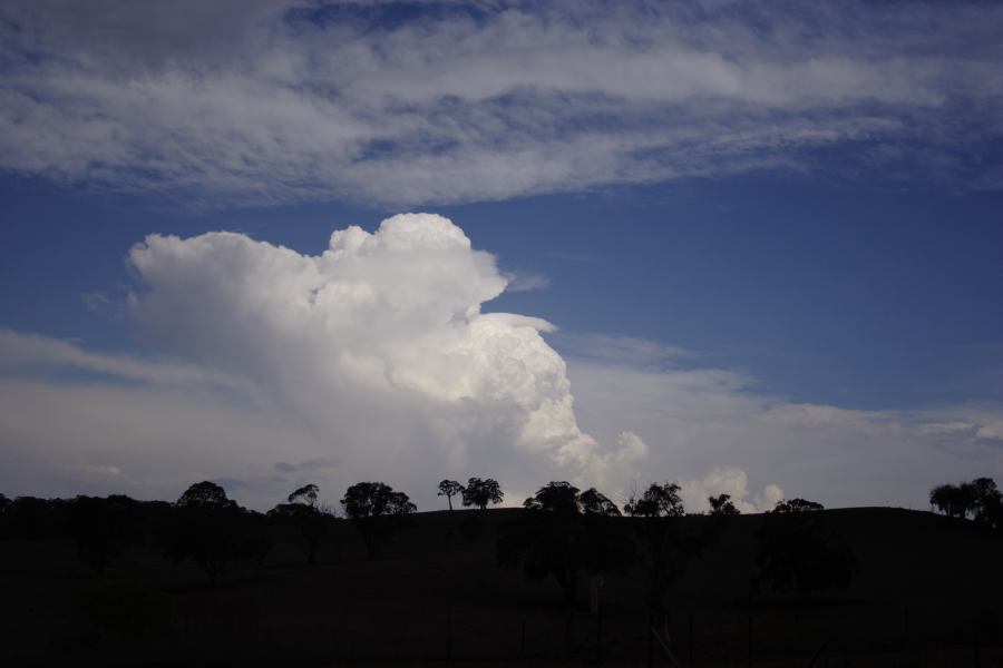 altocumulus altocumulus_cloud : near Ilford, NSW   3 February 2007