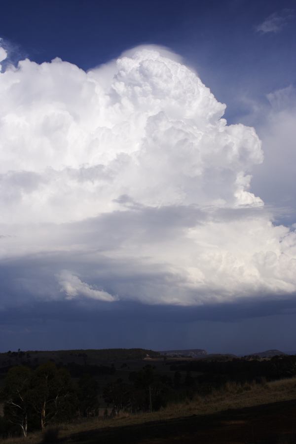 cumulonimbus thunderstorm_base : S of Cherry Tree Hill, NSW   3 February 2007