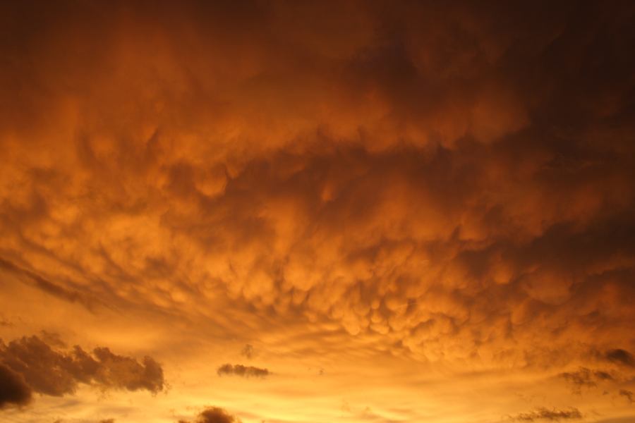 mammatus mammatus_cloud : Schofields, NSW   7 February 2007