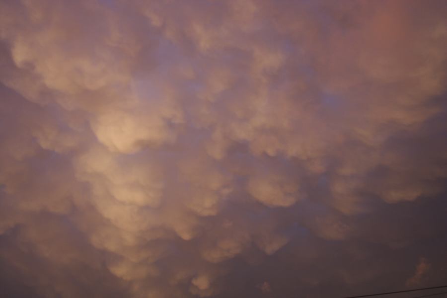 mammatus mammatus_cloud : Schofields, NSW   7 February 2007