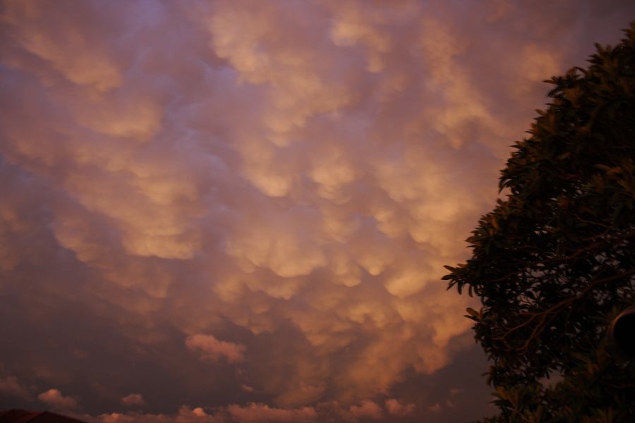 mammatus mammatus_cloud : Schofields, NSW   7 February 2007