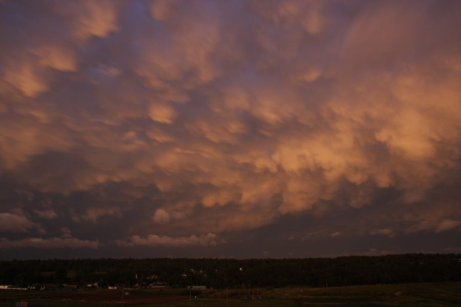 mammatus mammatus_cloud : Schofields, NSW   7 February 2007