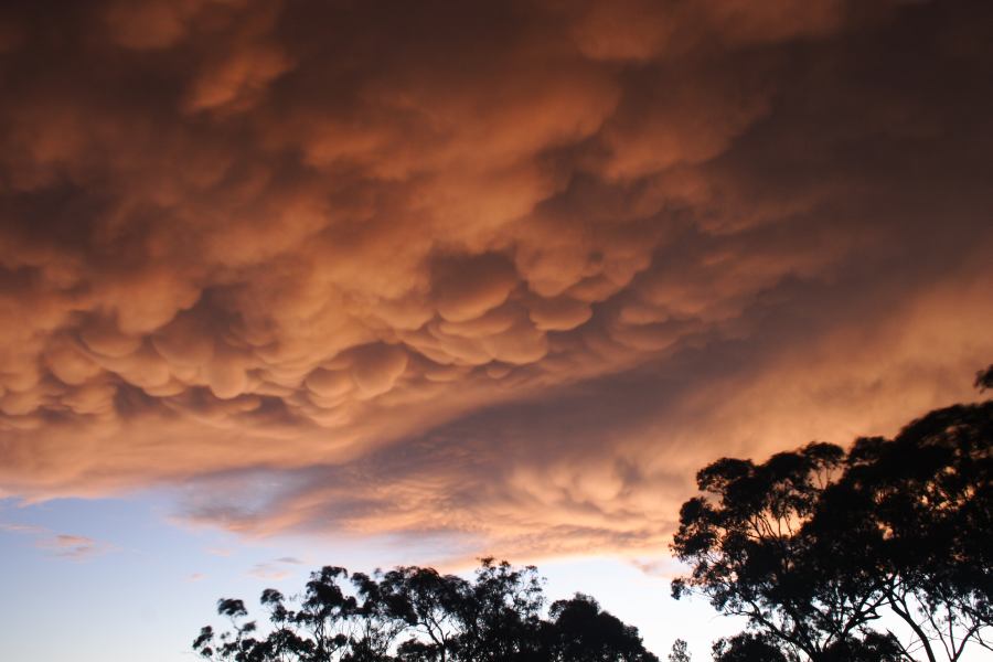 mammatus mammatus_cloud : Coonabarabran, NSW   10 February 2007