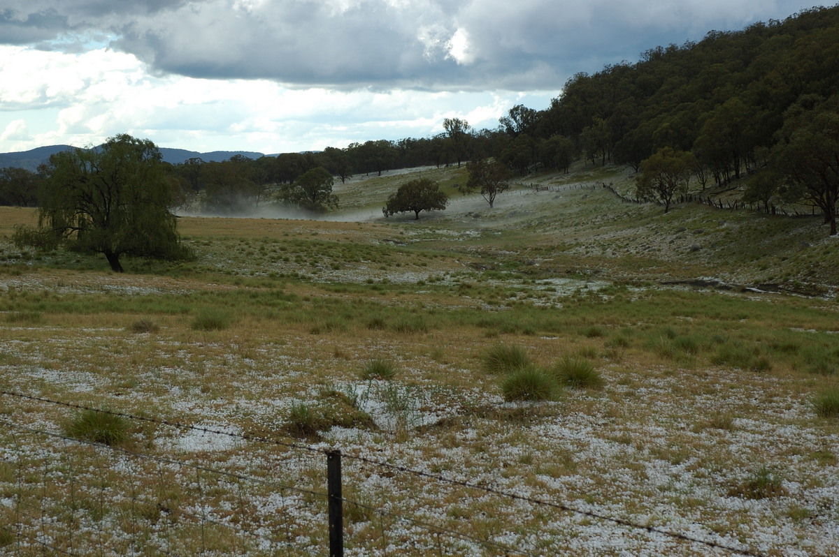 fogmist fog_mist_frost : S of Tenterfield, NSW   10 February 2007