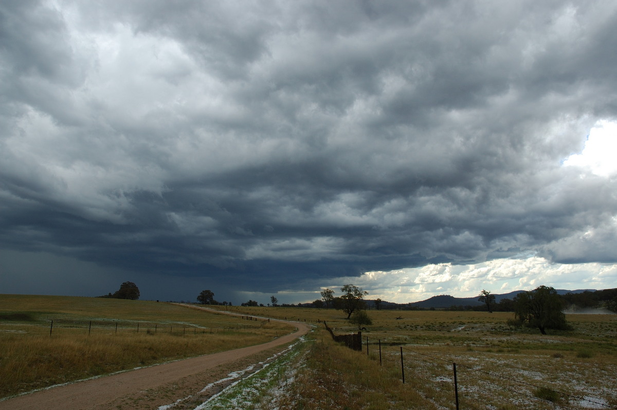 cumulonimbus thunderstorm_base : S of Tenterfield, NSW   10 February 2007