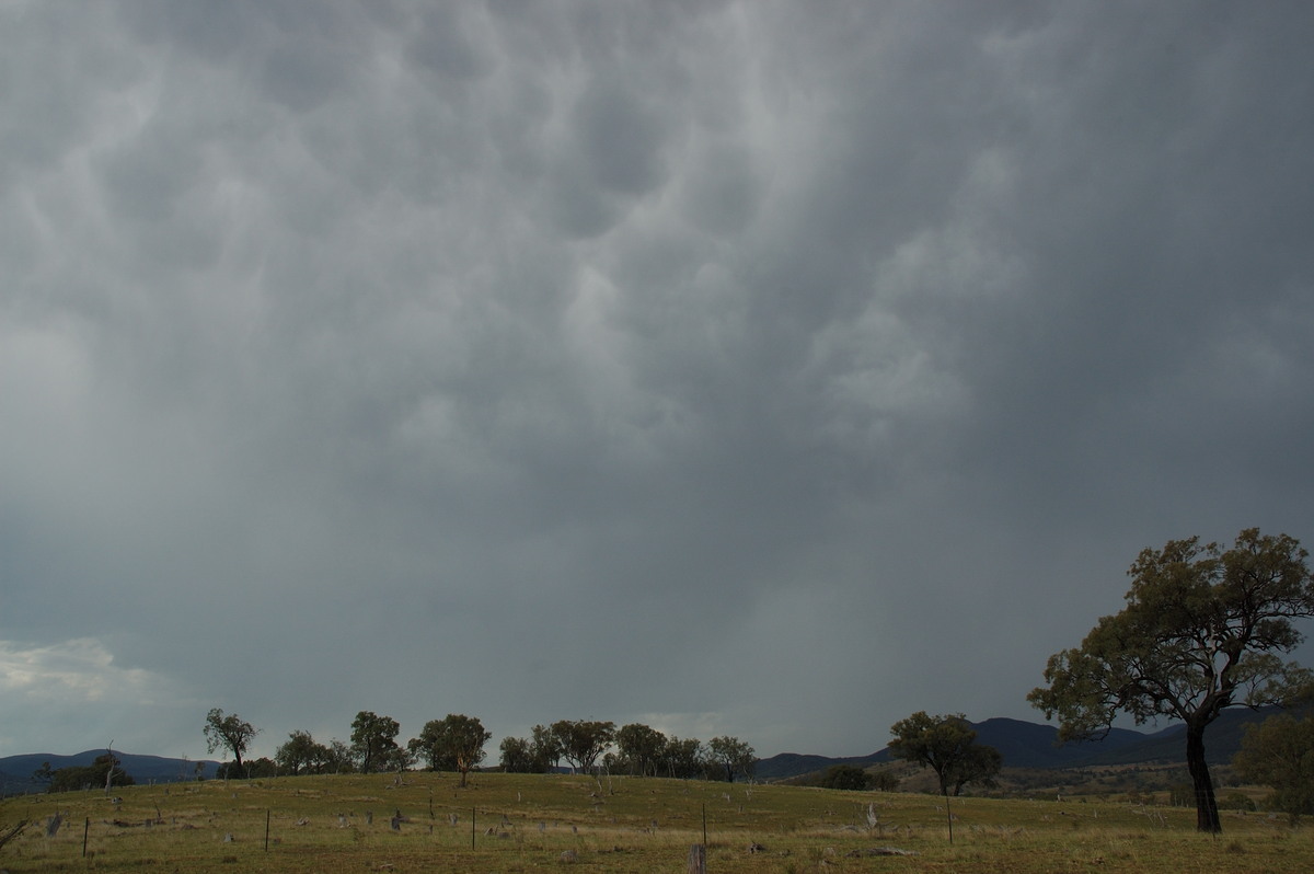 mammatus mammatus_cloud : W of Tenterfield, NSW   10 February 2007