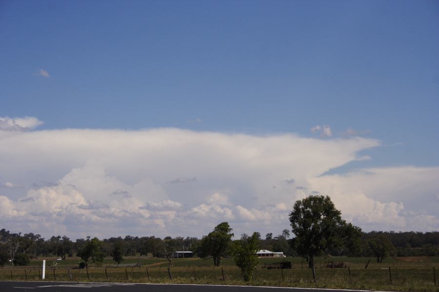 thunderstorm cumulonimbus_incus : Dunedoo, NSW   11 February 2007