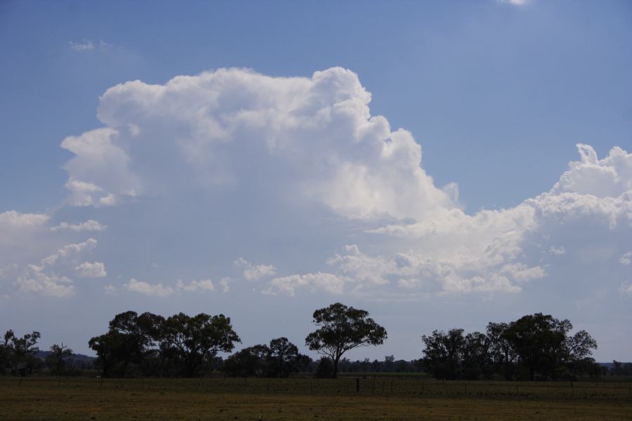 thunderstorm cumulonimbus_incus : Dunedoo, NSW   11 February 2007