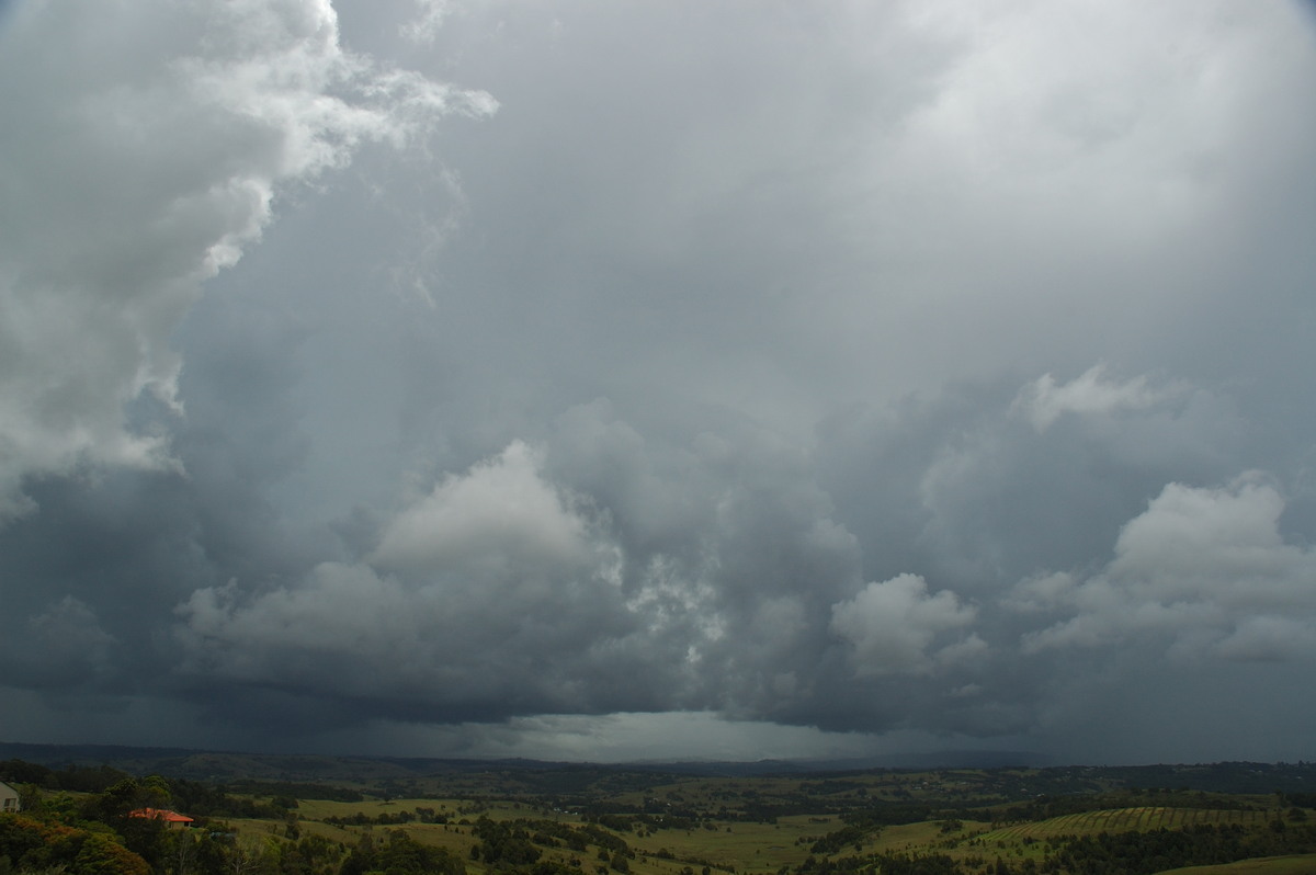 cumulonimbus thunderstorm_base : McLeans Ridges, NSW   12 February 2007