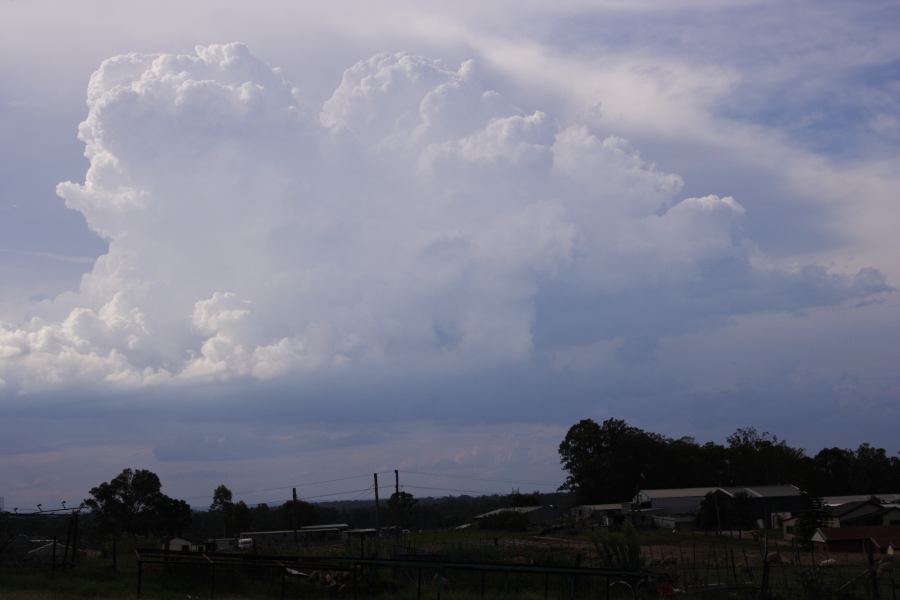 thunderstorm cumulonimbus_calvus : Schofields, NSW   19 February 2007