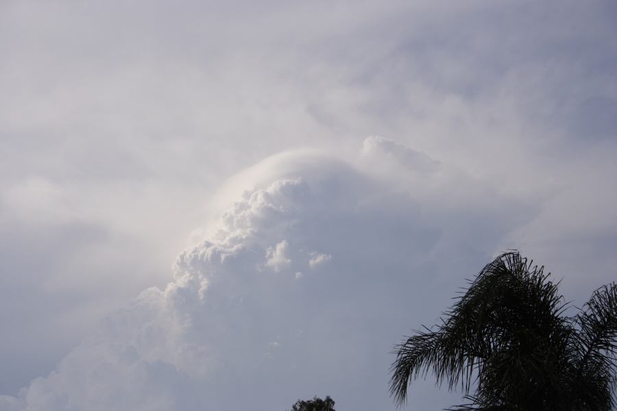 updraft thunderstorm_updrafts : Riverstone, NSW   19 February 2007