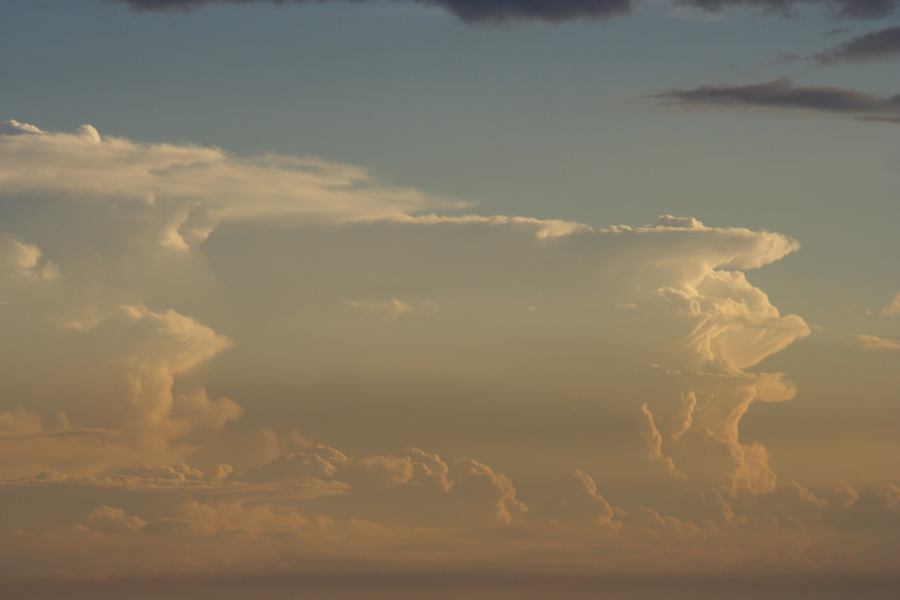 updraft thunderstorm_updrafts : Schofields, NSW   22 February 2007