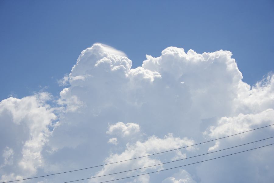 thunderstorm cumulonimbus_calvus : Kurrajong region, NSW   24 February 2007