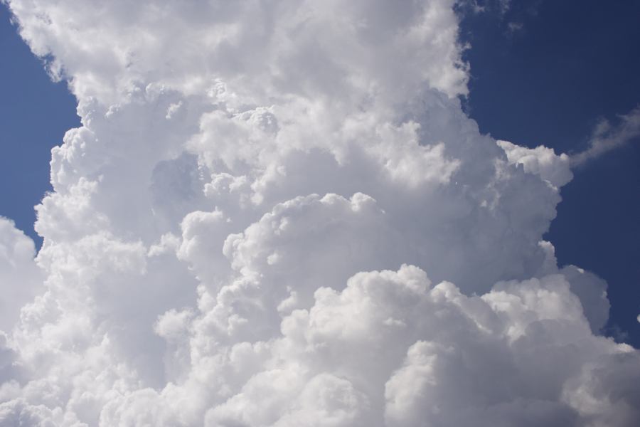 updraft thunderstorm_updrafts : Bilpin, NSW   24 February 2007