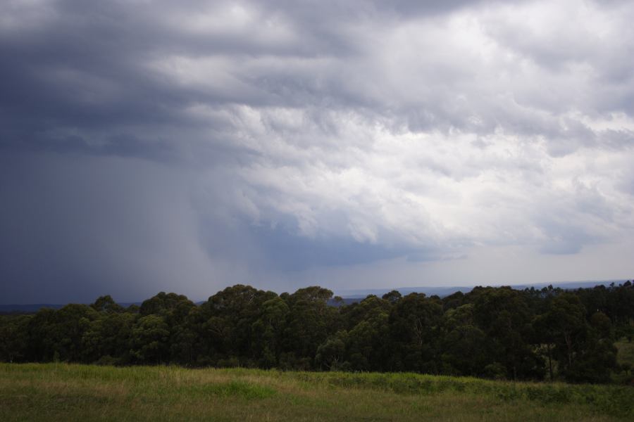 cumulonimbus thunderstorm_base : Bilpin, NSW   24 February 2007