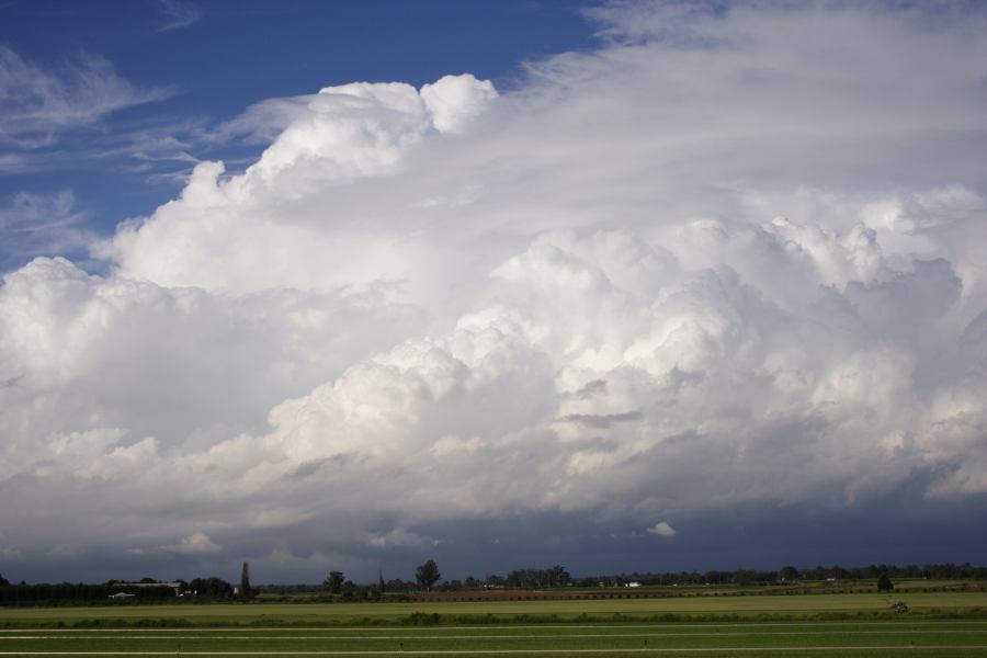 thunderstorm cumulonimbus_calvus : Windsor, NSW   28 February 2007