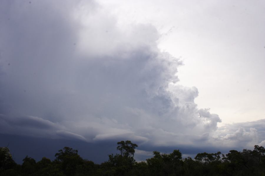 thunderstorm cumulonimbus_incus : near Heathcote, NSW   1 March 2007