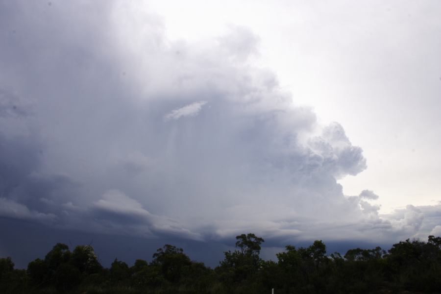 thunderstorm cumulonimbus_incus : near Heathcote, NSW   1 March 2007