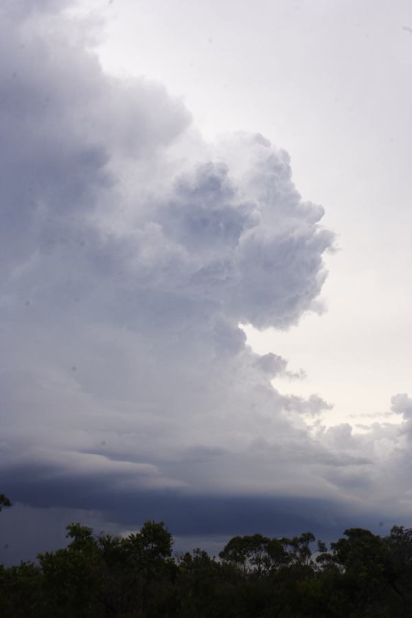 thunderstorm cumulonimbus_incus : near Heathcote, NSW   1 March 2007