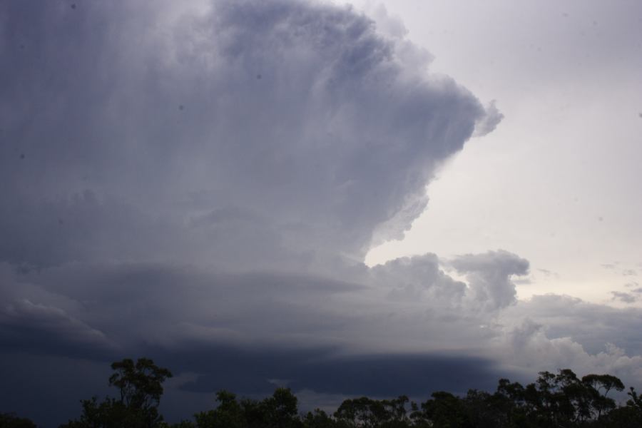 cumulonimbus thunderstorm_base : near Heathcote, NSW   1 March 2007