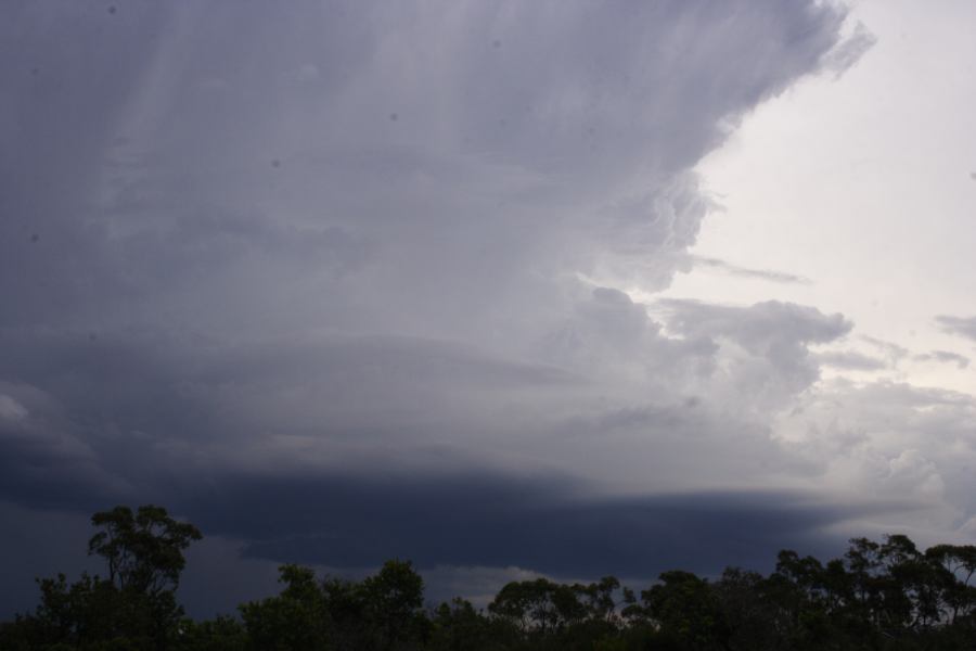 cumulonimbus thunderstorm_base : near Heathcote, NSW   1 March 2007