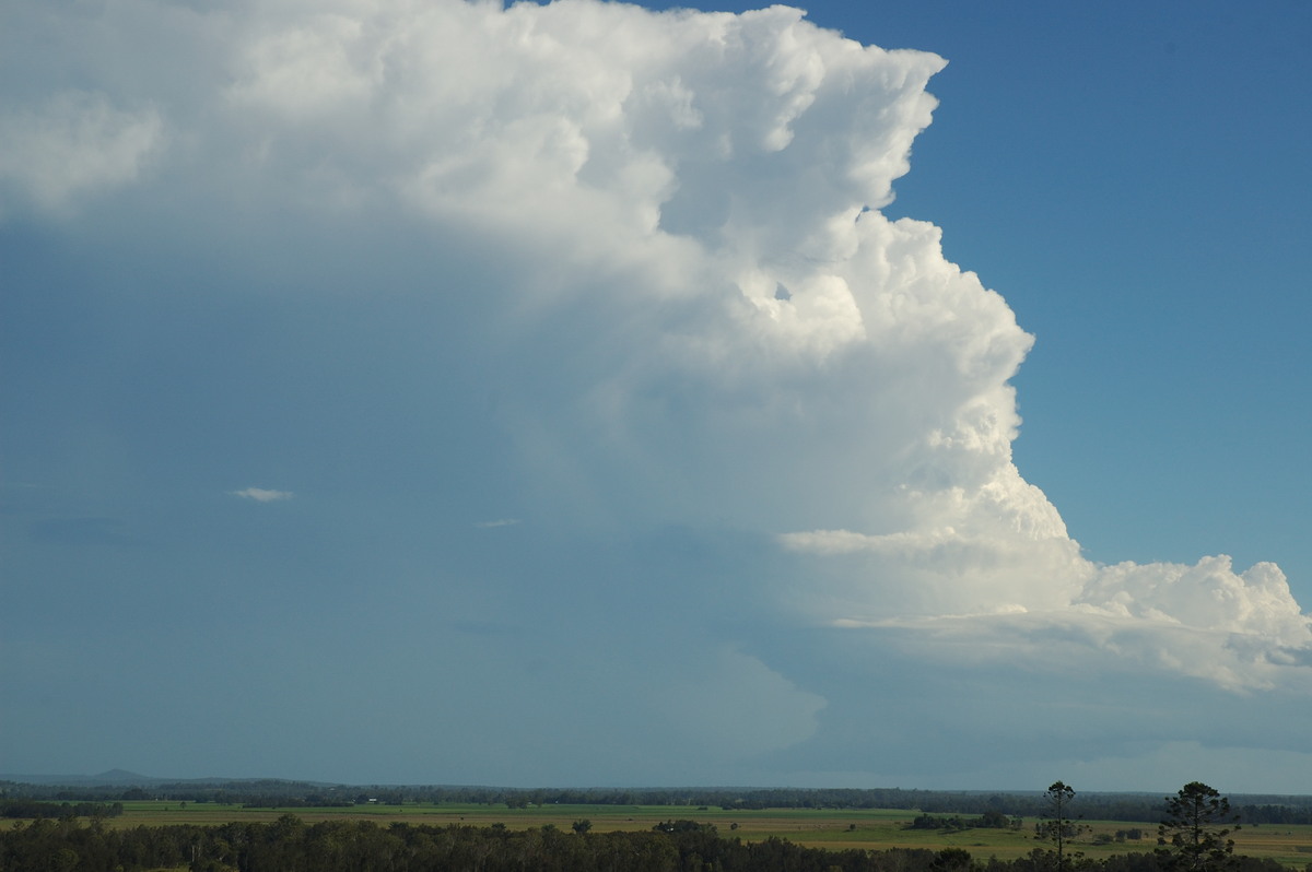 inflowband thunderstorm_inflow_band : Parrots Nest, NSW   2 March 2007