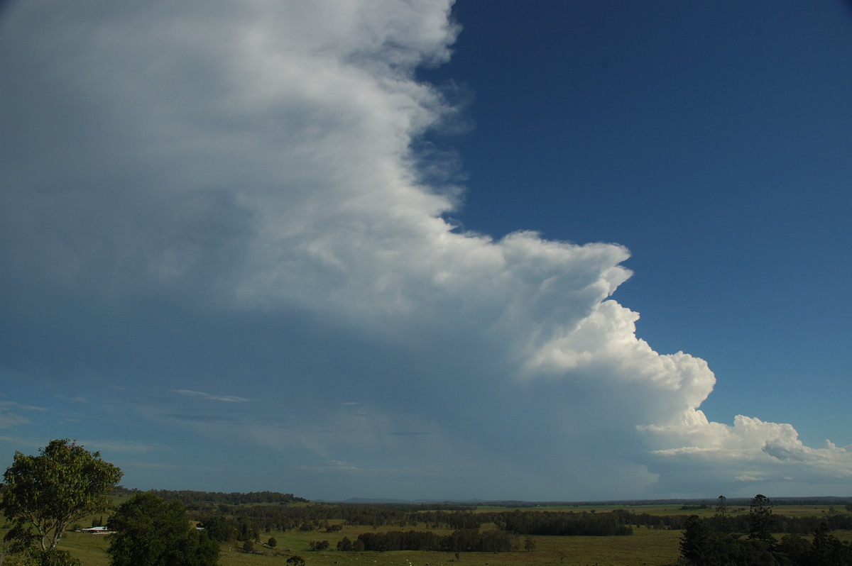 thunderstorm cumulonimbus_incus : Parrots Nest, NSW   2 March 2007