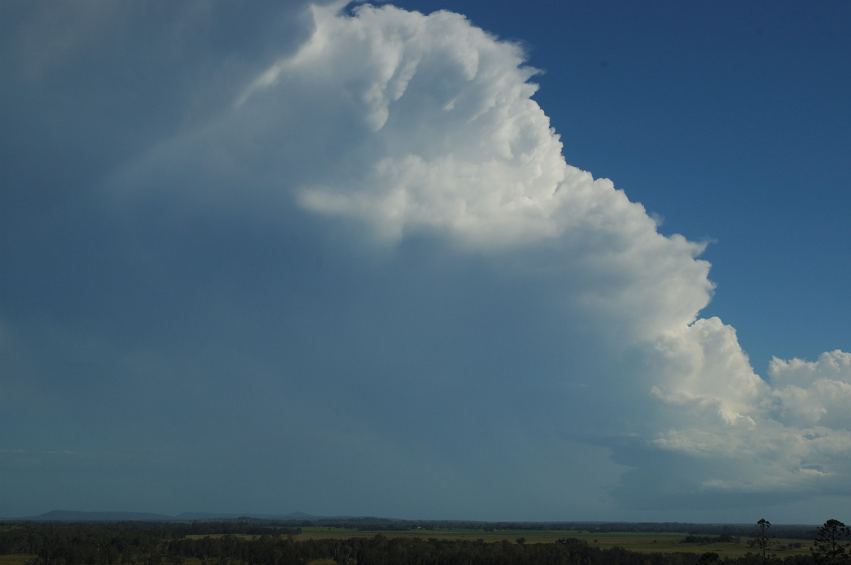 mammatus mammatus_cloud : Parrots Nest, NSW   2 March 2007