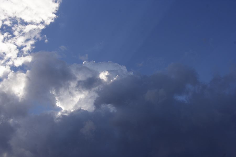 thunderstorm cumulonimbus_calvus : near Bulga, NSW   4 March 2007