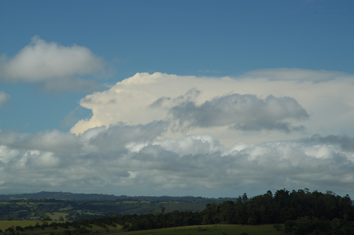 stratocumulus stratocumulus_cloud : McLeans Ridges, NSW   5 March 2007