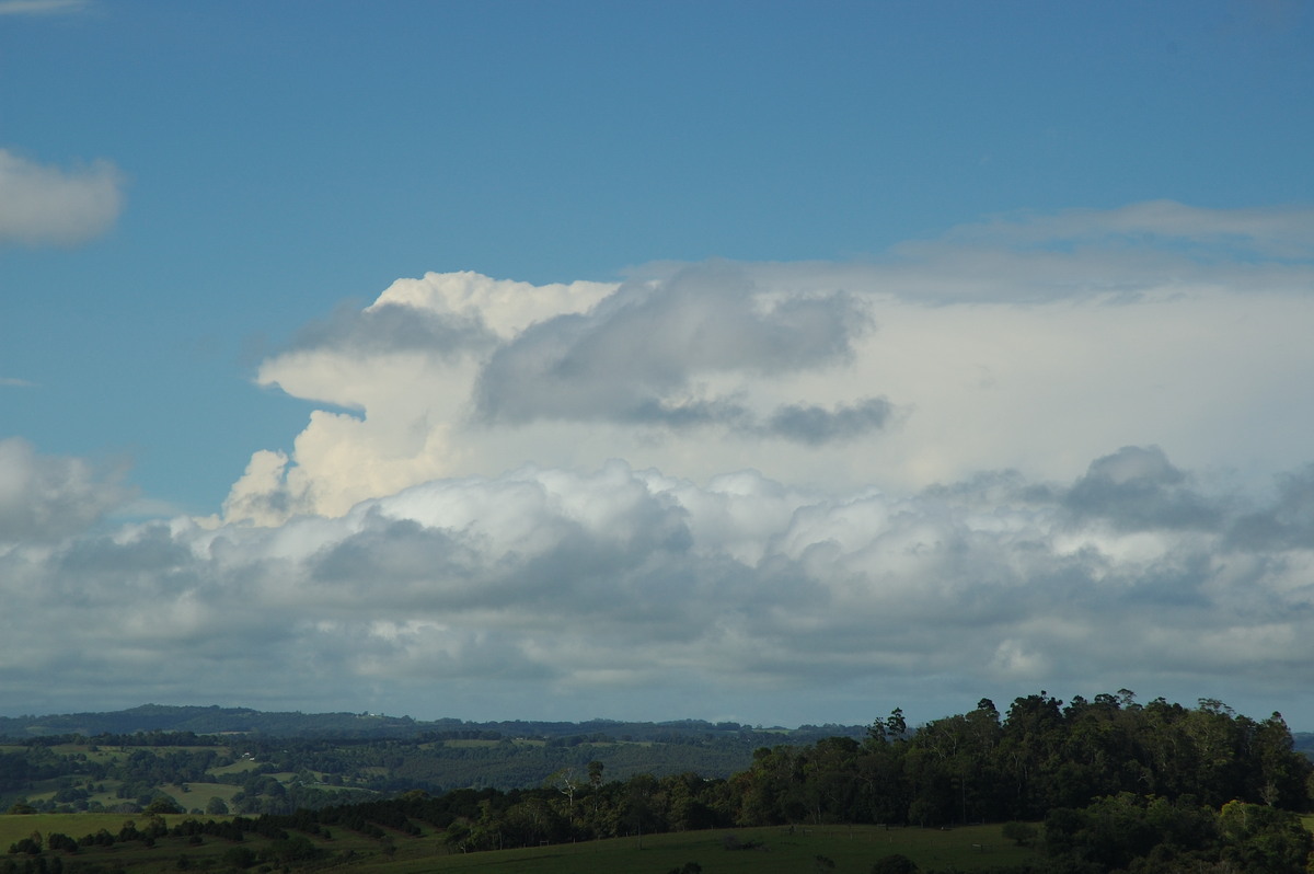 stratocumulus stratocumulus_cloud : McLeans Ridges, NSW   5 March 2007