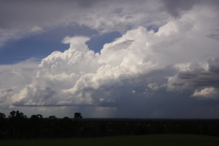 raincascade precipitation_cascade : Rooty Hill, NSW   8 March 2007