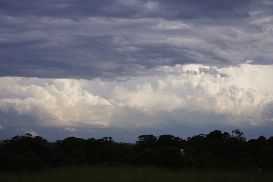 altocumulus altocumulus_cloud : Rooty Hill, NSW   8 March 2007