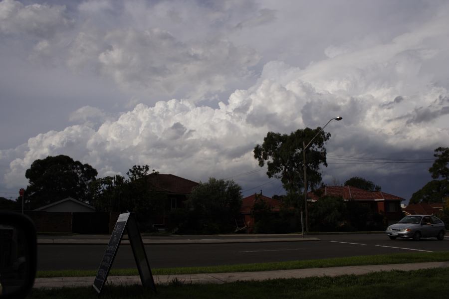 thunderstorm cumulonimbus_calvus : Miranda, NSW   8 March 2007