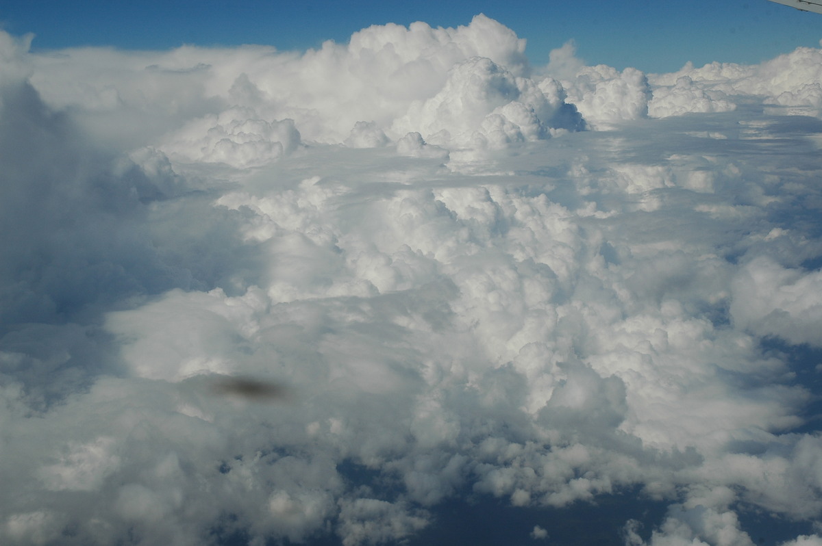 cumulus congestus : Ballina to Sydney, NSW   6 April 2007