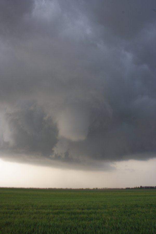 cumulonimbus supercell_thunderstorm : Nickerson, Kansas, USA   24 April 2007