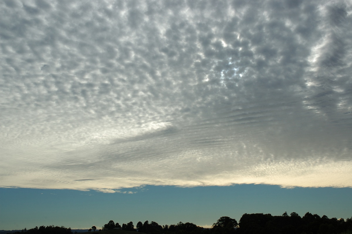 altocumulus mackerel_sky : McLeans Ridges, NSW   2 May 2007