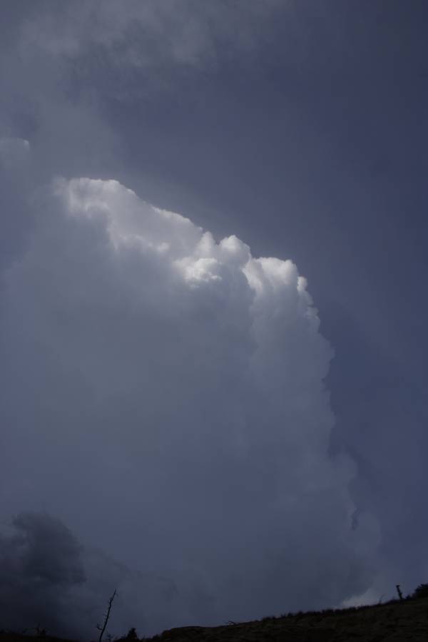 thunderstorm cumulonimbus_calvus : S of Roundup, Montana, USA   19 May 2007