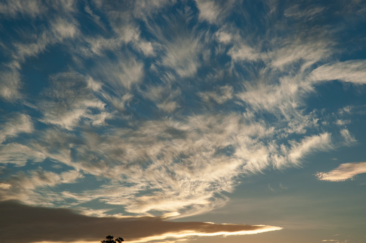 cirrus cirrus_cloud : McLeans Ridges, NSW   22 May 2007