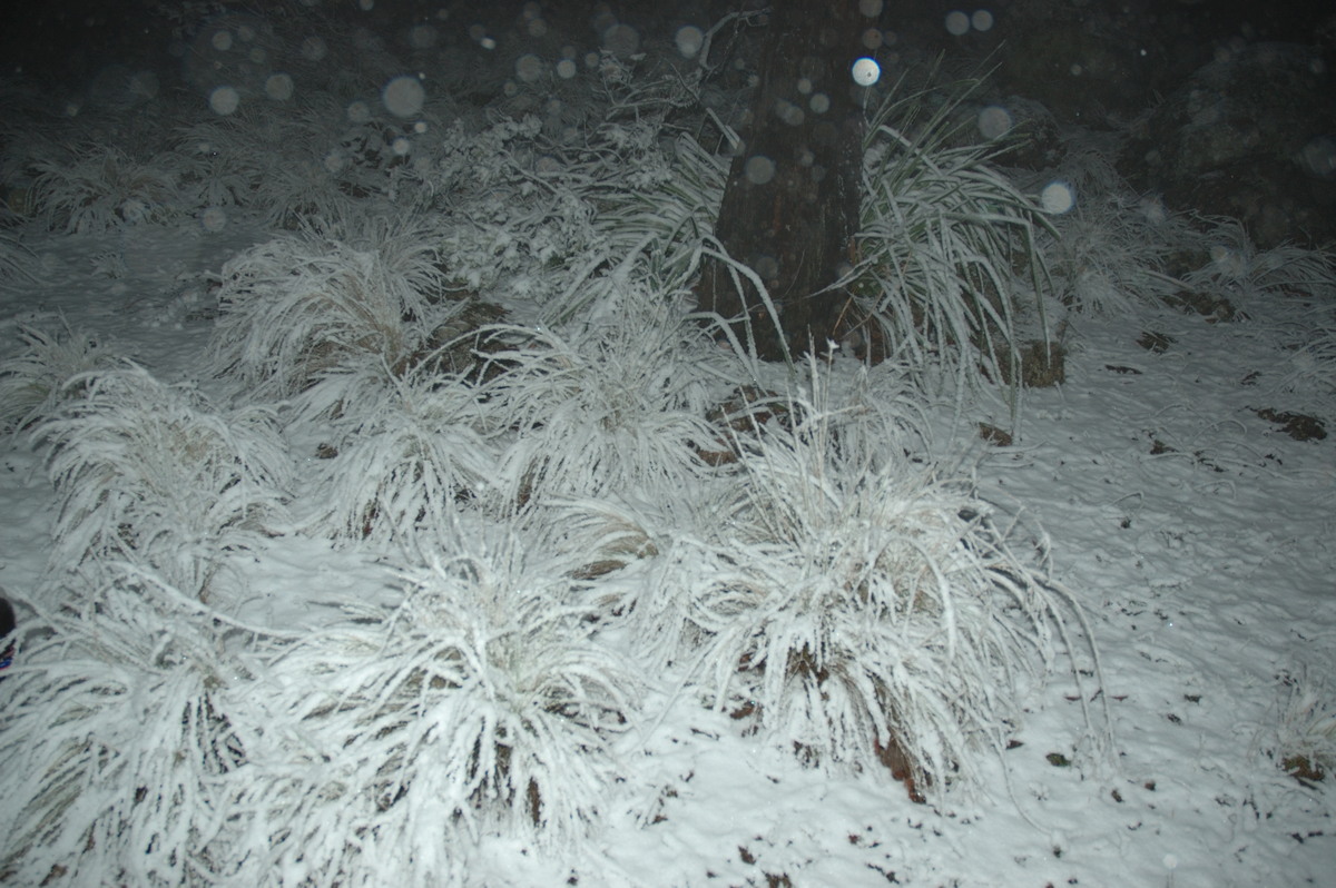 snow snow_pictures : near Tenterfield, NSW   8 June 2007