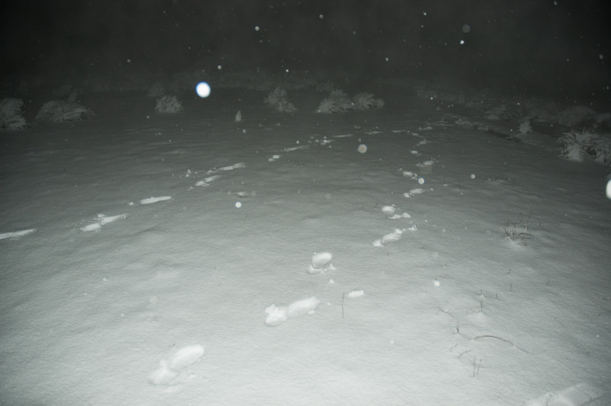 snow snow_pictures : near Tenterfield, NSW   8 June 2007