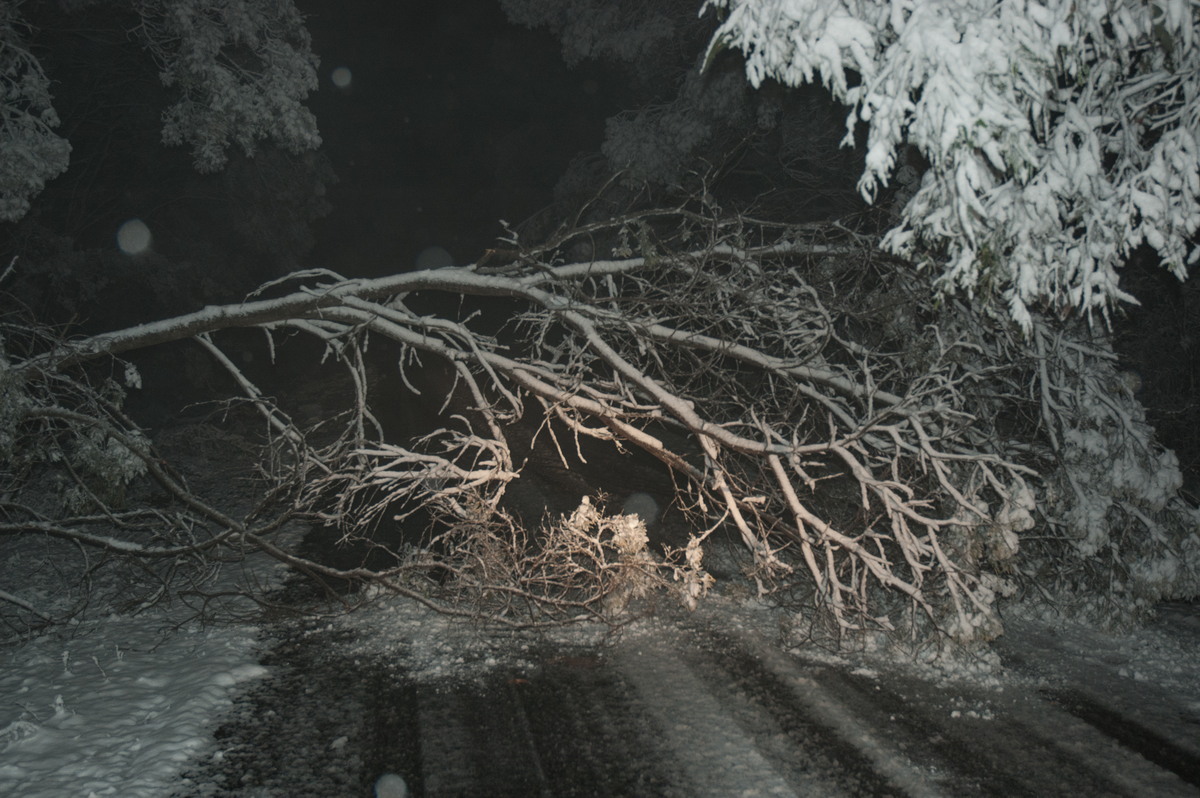 snow snow_pictures : near Tenterfield, NSW   9 June 2007