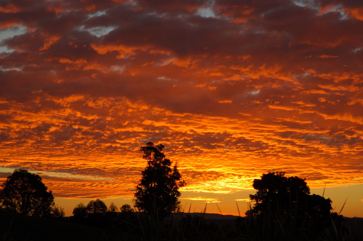 altocumulus altocumulus_cloud : McLeans Ridges, NSW   3 July 2007