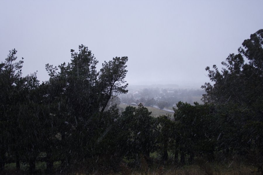 snow snow_pictures : Oberon, NSW   5 July 2007