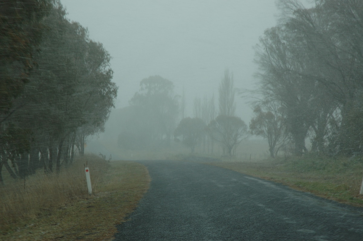 snow snow_pictures : Ben Lomond, NSW   8 July 2007