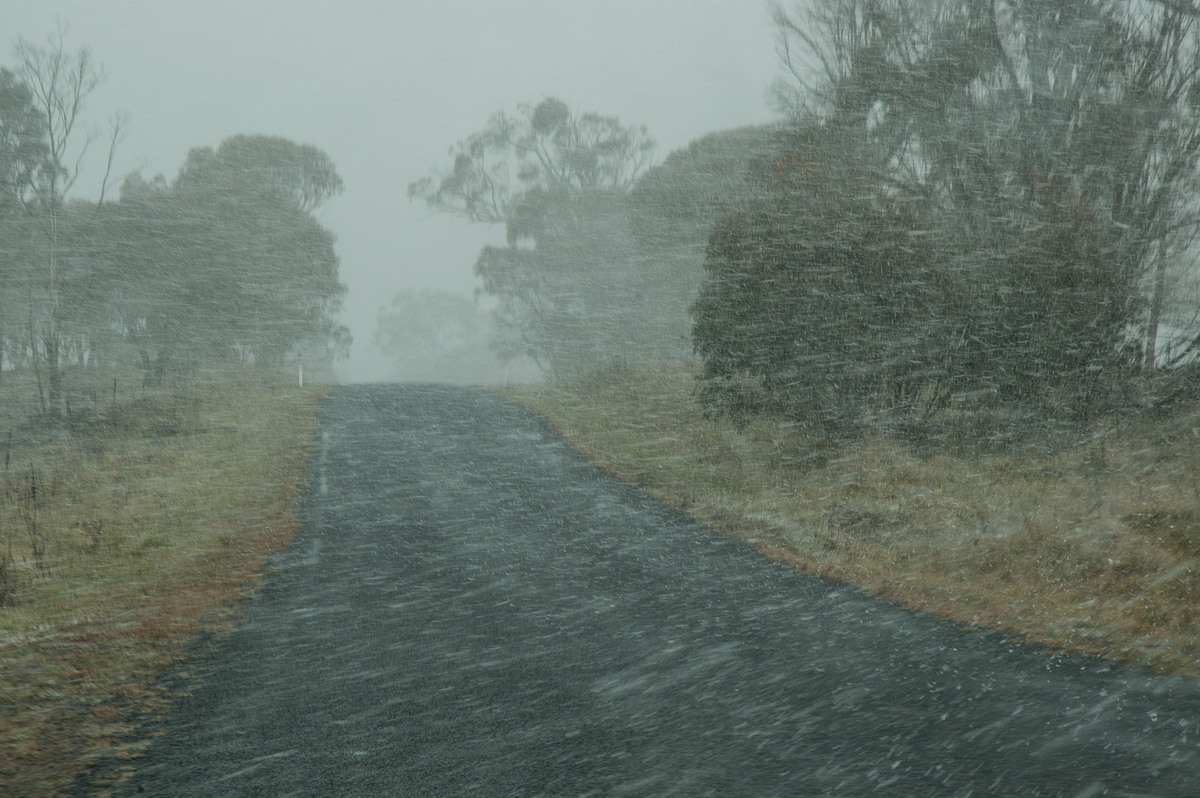 snow snow_pictures : Ben Lomond, NSW   8 July 2007