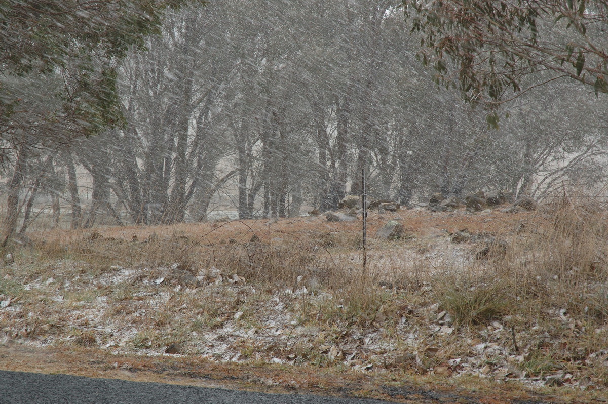 snow snow_pictures : Ben Lomond, NSW   8 July 2007