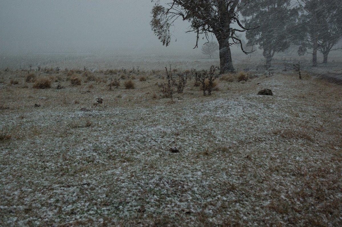 snow snow_pictures : near Ben Lomond, NSW   8 July 2007